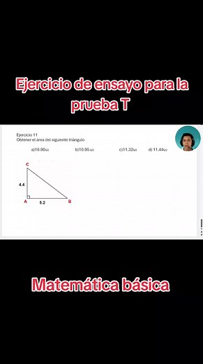 Ejercicios de ensayo para la prueba T: matemática básica