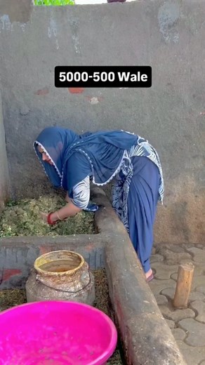 401K views · 7.8K reactions | Village work | Love Deep | Facebook