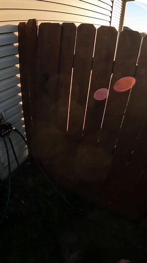 Nobody ever wants to hear Monster Mash... But seriously, the season is wrapping up. This weekend I’m gonna give the lawn its first haircut since overseeding, so now's a good time to put up my DIY sprinkler system! ***Credit Wayne County Lyfe for the audio*** #Melnor #sprinkler #Halloween #MonsterMash #NotaBanger #DIY #irrigation #watering #LawnDad #DadMode #DadLife #LawnDIY #DIYlawncare #FescueFreak #KEEPofftheGRASS #LawnStripes #EnjoyTheMow #StripeLife #LawnGoals #StripeNation #LawncareNut #LAW