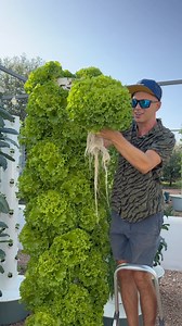 555K views · 29K reactions | The float valve plays a vital role in regulating the water level in aeroponic tower reservoirs, ensuring consistent irrigation and overall system stability. #farming #agriculture #gardening #aeroponics #verticalfarming #hydroponics #irrigation #soilless | Agrotonomy Tower Farms | Facebook