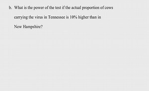 Hypothesis Testing to Compare Proportions: Exercise 4