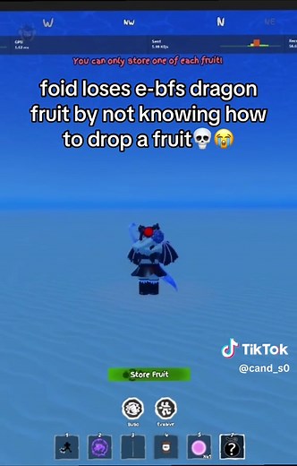 GPO Dragon Fruit: Tips for Dropping and PvP Strategies