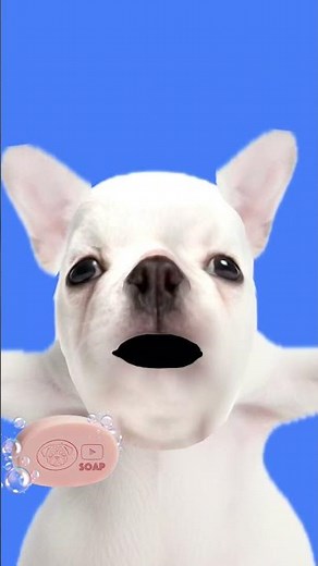 Don’t believe me🤔