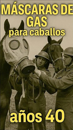 Gas Mask for Horses · 1940s #history