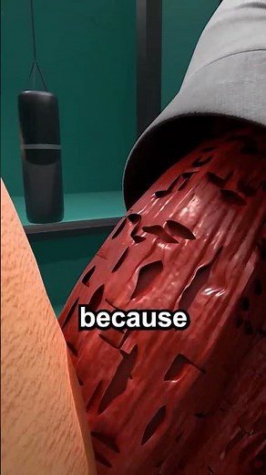 How Muscles Actually Grow 😱 | Animated Explainer