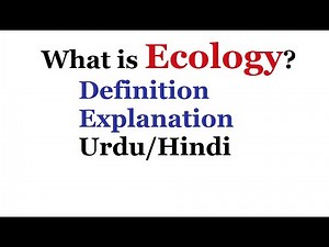 What is Ecology with Examples? Urdu / Hindi