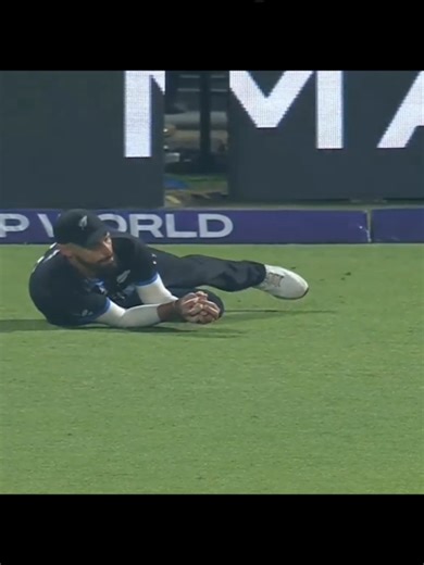 Check Your Honesty Level: A Fun Challenge