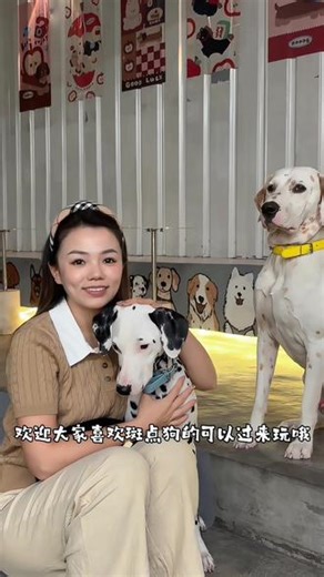 关于我为什么爱上斑点狗的故事#宠物友好#揭阳咖啡#宠物 #斑点狗 #揭阳宠物友好