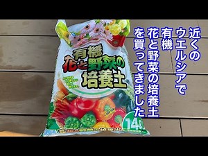 近くのウエルシアで有機花と野菜の培養土を買ってきました！