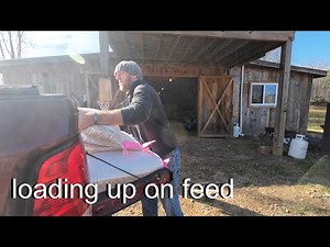 Stocking Up for Winter | Hauling Feed & Building a Bigger Pig Feeder