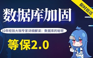 【数据库】【沉浸式教学】等保2.0数据库加固与安全评测，10年经验大咖专家详细解读！限时放送！