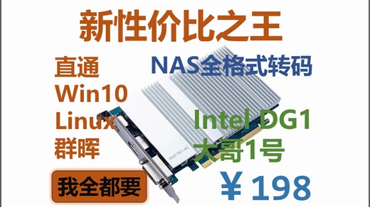NAS独显转码新王晋级， Intel DG1驱动第二阶段，PVE内核+群晖SA6400驱动分享！