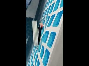 Cutting The Pool - Installing an Intex Auto Poll Cleaner