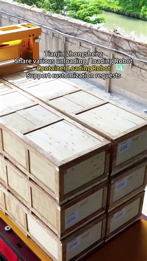 Container Loading Robot