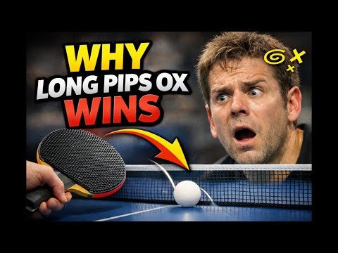 Long Pips OX Explained – Why This Rubber Wins Matches #longpips #longpipsox #longpimpleox