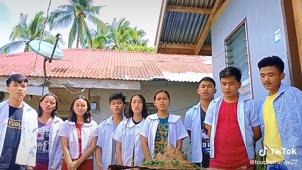 PERFORMANCE TASK #4: EXOGENIC PROCESS EXPERIMENT #SCITOK EXPERIMENT#EXOGENIC PROCESS#exogenicstiktok #foryoupage #fypシ #fyp