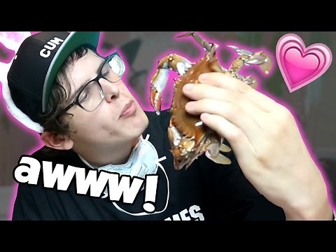 Crab Love - Bad Unboxing Fan Mail