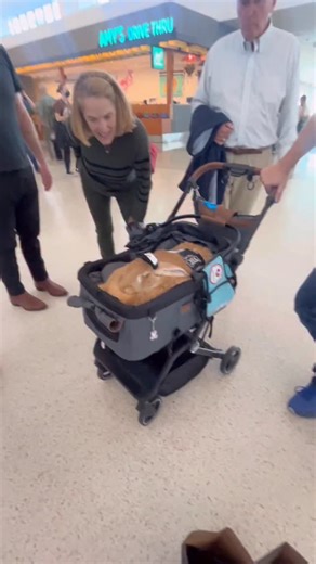 Wendy Albright on Instagram: "My story with Alex The Great 🐰 @alex.thegreat100 #rabbit #bunny #therapy #storytime #story #adoptdontshop #rescue"