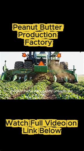 Modern Machinery Pulls Thousands of Peanuts From the Ground #farming #machinery