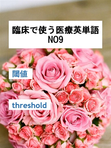 医療英単語 NO9：臨床で使う医学用語