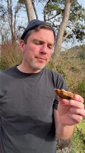 Dark rye bread with coriander seed & caraway We make this bread at home once or twice a week. There’s no kneading, no dough machine, no yeast – you simply need a few moments to combine the ingredients, then leave the dough to rise. With its sticky texture and complex flavour, it’s the best rye sourdough I’ve ever eaten. The seeds and rye flour make it sweet and nutty, the coriander adds zest and the caraway keeps it clean. Perfect for sandwiches, especially Scandinavian-style open ones with smok