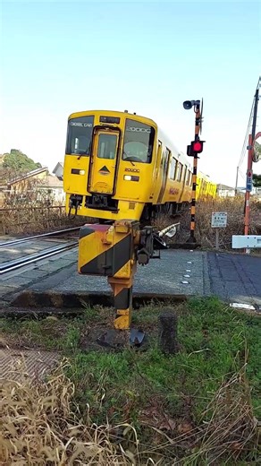 【なのはな号】が爆速通過！【愛宕踏切 “Looks Like Flying!” #shorts #JR #train