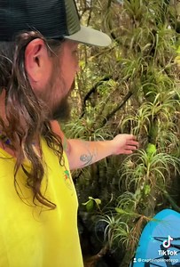 The Everglades…where every branch seems to be its own universe… One of the most epic ecosystems I’ve ever had the honor of experiencing. So lucky to call it home 😊🐊🤙🏽 www.ecopreservationproject.com | The Eco Preservation Project