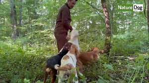 1.2K reactions · 199 shares |  DÉCLARER ET SÉLECTIONNER SES JEUNES...