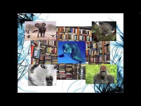 The Writing Process: Informative Writing