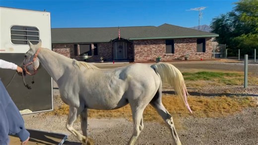 💓💓💓 | Zoë Day