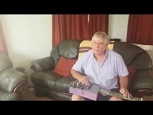 4 string cigar box guitar CBG