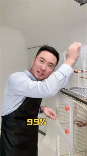 Three steps to teach beginners how to raise parrots.#Parrot#Parrot Teaching#Cute Pet Debut