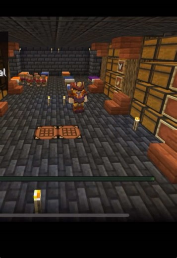 Anarchy Craft no TikTok