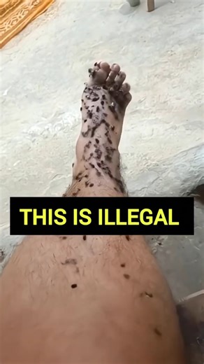 Human to Cyborg 🤖 | AI Robot Transformation #Shorts #tutorial #cyborg #filter #trend