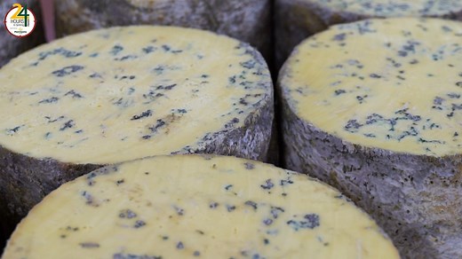 3.6K views · 45 reactions | Meet stilton cheese specialist Kim Kettle... "Long Clawson makes 4,500 tonnes of cheese - 250 tonnes of that we supply to Morrisons." #Farm24 | Farmers Guardian | Facebook