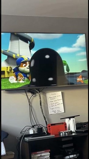 Paw Patrol Lost Episode