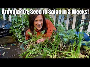 Arugula 101: From Seed to Salad in 3 Weeks!