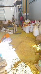 7K views | Turmeric Powder machine automatic plant impact Pulvriser machine WhatsApp me +91 88716 86000 | Punjab Engineering Corporation | Facebook