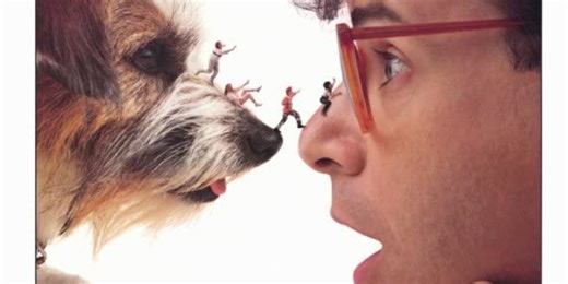 Covid Jab Shown to Lower Sperm Count