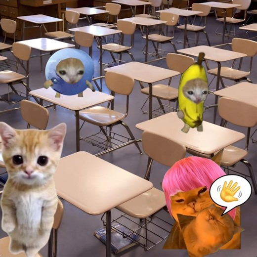 Bunk Plan! Baby Banana Cat Evil Acting School Day 😺❤️ #catmemes #cat #shorts #fyp #bananacat