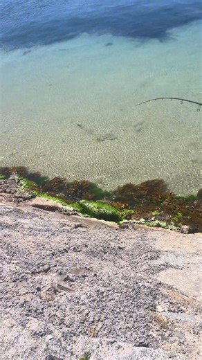 Fishing for Snook and Flatfish: Tips and Techniques