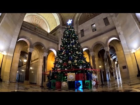20-Foot Holiday Tree Installed at Los Angeles City Hall