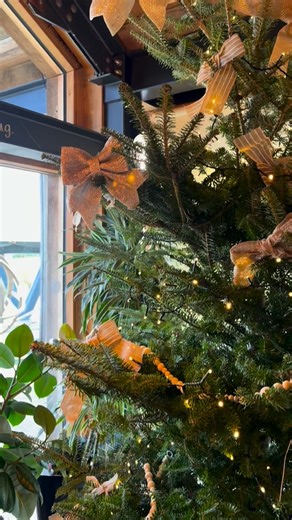 Wish Tree 🌲 🏷️ Our wish tree last year was super successful so let do it again. On your next visit just ask a Team Member for a free tag, write your wish and hang it 😄 Merry Christmas 🎄 #christmaswish #hallandwoodhouse #hosptialitychristmas #work #christmascheer #wishtree #swindonpub | Hall & Woodhouse Wichelstowe