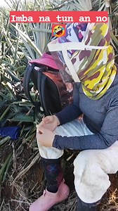 Unsay problema nimo ?-wala 🤐 Unsa ihawan tekag manok ? -Ess eyabo ko Ra na 🥴🥴🥴 Palitan tekag motor?-ess ibangga ko lang 🥴 Unsa kaminyoon ka??- nganung kabalo ka 🤣😍❤️ Ninitibo nga kina mais 🤤😜 But I love what I speak ❤️❤️ #trabahanteslife #followerseveryonehighlights #funnyreels | Cindy's Vlog