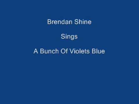 A Bunch Of Violets Blue ----- Brendan Shine + LyricsUnderneath