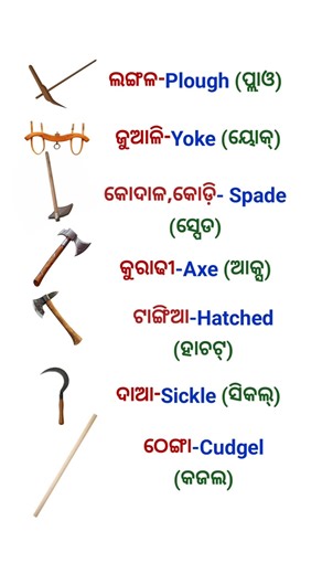 English to odia Word meaning #englishtoodiatranslation #englishodiadictionary #englishtoodiameaning