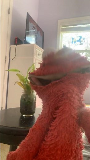 elmo world dorothy farms question