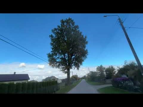 Mierzynówka village, street view of village head Zenek riding on roller skates, Podlasie, Grodzis...