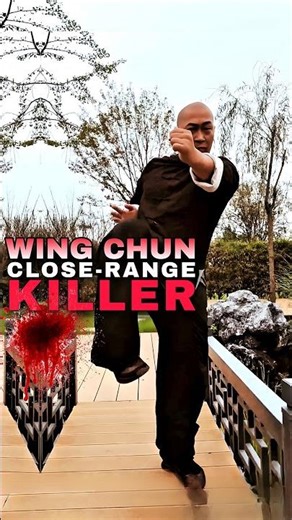 WING CHUN Master Unleashes Rapid Kickboxing Combos #kungfu