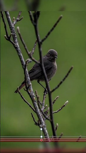 "Photoshop Tutorial: Masking and Color Grading street Photography"